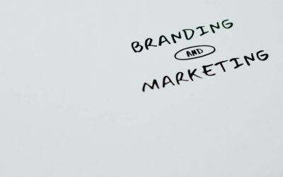 From Zero to Hero: Transform Your Business with the Top Digital Marketing Agency in Dallas